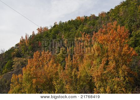 Podzim v Alpujarra