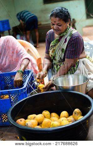 Village women cutting mangoes from a basket