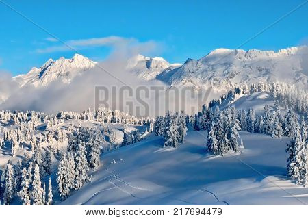 Winter ladscape forest and mountains covered with snow and frost after heavy snowfall. Winter scene near Whistler ski resort. Beautiful Britis Columbia. Canada.
