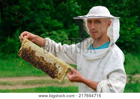 Beekeeper working collect honey. Beekeeper holding a honeycomb full of bees. Beekeeping concept
