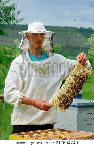 Beekeeper working collect honey. Beekeeper holding a honeycomb full of bees. Beekeeping concept