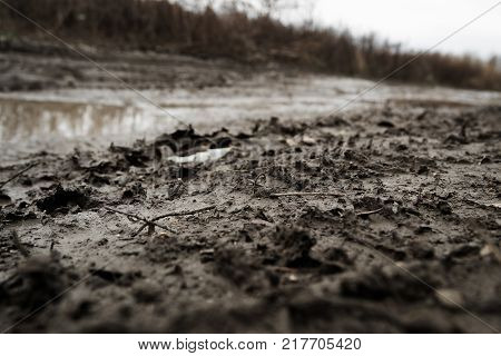 Dirt background. Dirt texture. Dirty road. Natural background. Grunge soil. Grunge earth. Grunge background. Autumn background. Soil background. Earth background.