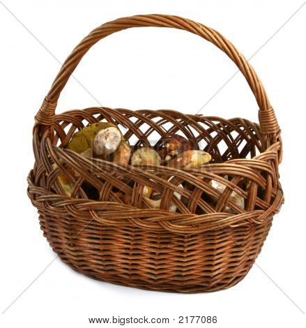 Basket Full Of Wild Mushrooms