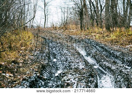 An impassable road, off-road track in autumn forest. Late autumn, early winter