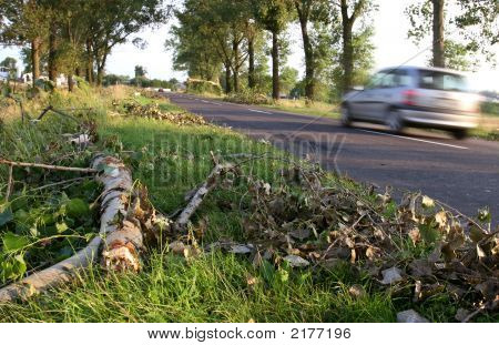 Bölünmüfltü ağaçlar