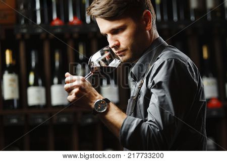 Sommelier smelling flavor of red wine in bokal on background of shelves with bottles in cellar. Male appreciating color, quality and sediments of drink. Professional degustation expert in winemaking.