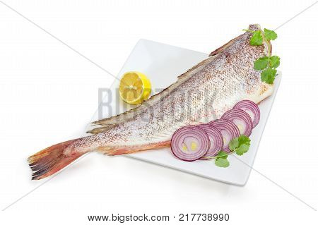 Carcass of the uncooked red cod without head and purified from fish scale with cilantro twigs lemon and sliced red onion on the large square white dish on a white background