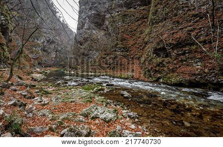 Soteska Vintgar, The Vintgar Gorge Or Bled Gorge In Slovenia.