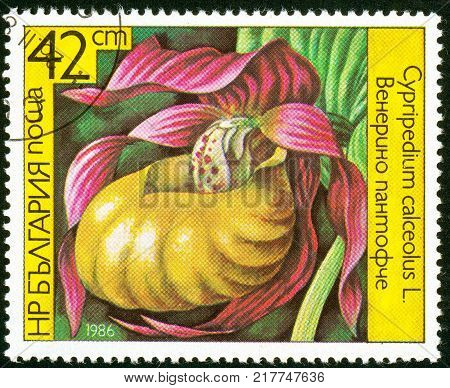 UKRAINE - circa 2017: A postage stamp printed in Bulgaria shows Orchid Epipactis palustris Series Orchids circa 1986