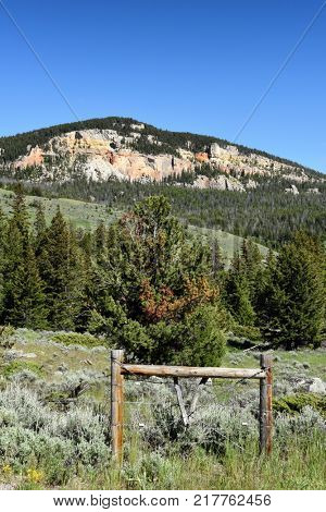 Scenic vertical landscape of the Beartooth Mountains in Wyoming
