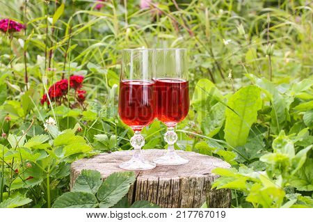 Two glasses with homemade red wine on tree stump in summer park.