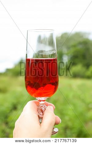 Glass with homemade red vine in a hand on farm yard background in a countryside at summer.