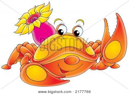 Red Crab