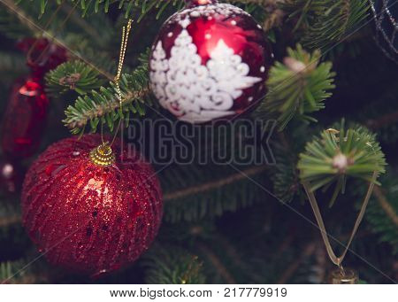 Shiny red glass baubles hanging on a fir tree. Selective focus on a ball with a white fir tree pattern. Green New Year or Christmas background.Close up.