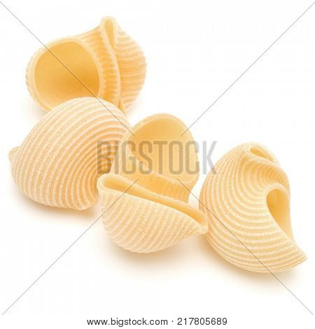 Italian lumaconi isolated on white background. Lumache, snailshell shaped pasta.