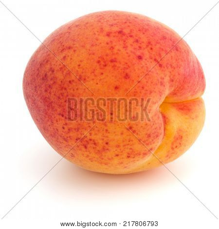 One apricot isolated on white background cutout