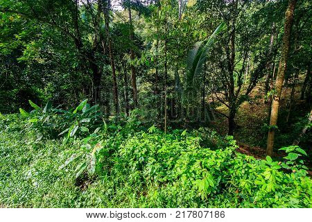 Observation Site Of Lake Cheo Lan, Thailand.