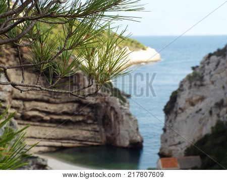 A vief of Stiniva beach, Croatia, with a pine branch in front