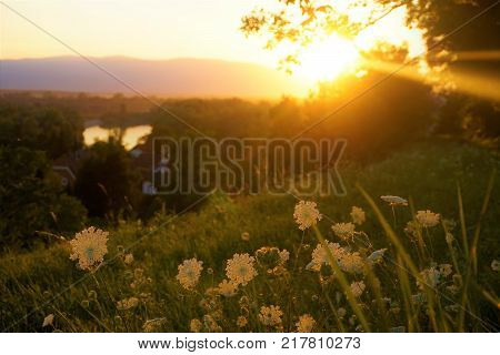 Sun setting over nature near Ptuj Slovenia