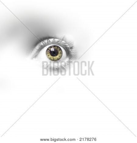 Auge der Zeit