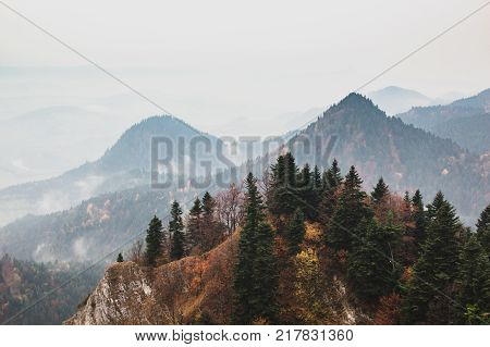 Autumn mountain landscape with fog, the trees on top