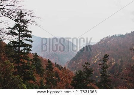 Autumn mountain landscape, autumn nature in the fog