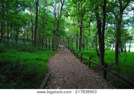 Walking trail at Radnor Lake near Nashville, TN