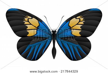Beautiful butterfly isolated on a white background. Longwings or heliconians butterfly. 3D illustration