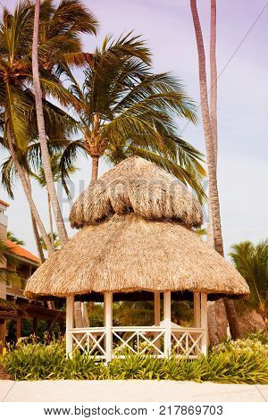 The hotel territory with palm trees on the beach. View of the sea