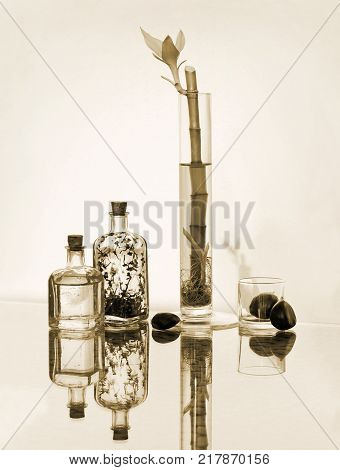 Beautiful bamboo in transparent vase chestnuts and small vintage glass botlles. High key still life in sepia tone. Choose a focal point copy space for write..