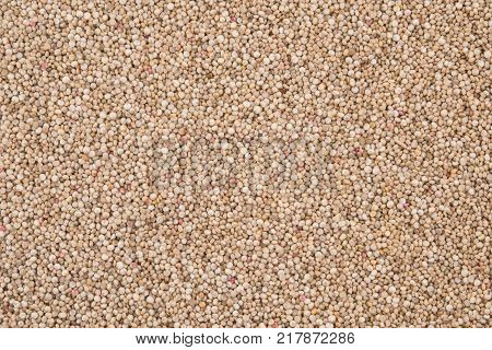 Organic Quinoa (Chenopodium quinoa) seedshealthy vegan food concep on white background
