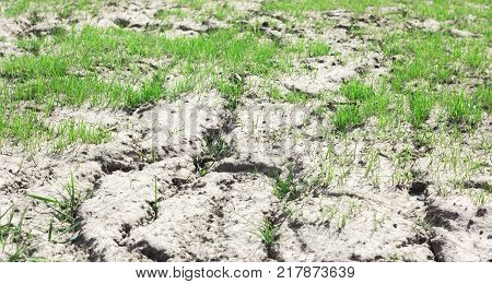 the decay of soil after a drought, the influence of an aggressive environment on nature.