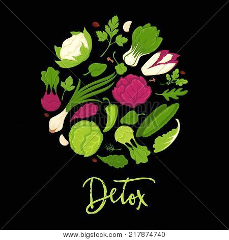 Vegetable salads detox diet poster. Vector healthy vegetarian dietary herbs and veggies of fresh green salad leaf of arugula and kohlrabi cabbage, onion or spinach and farm grown cucumber