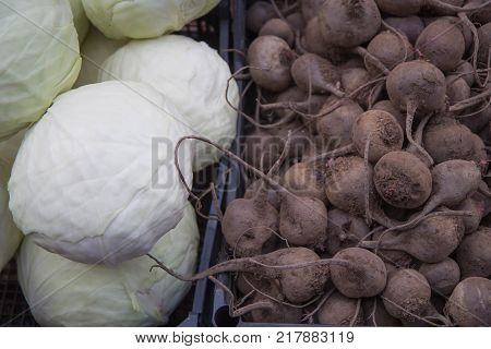 fresh fruits and vegetables. cabbage beets. Vegetables from organic grower farm