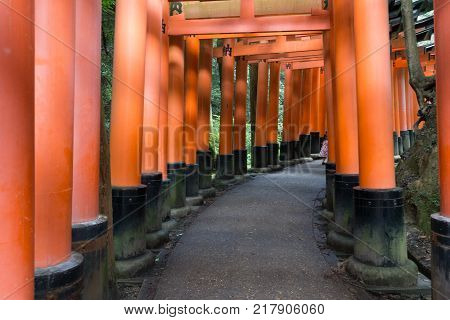 View of the passage to the temple of Hakone in the cedar forest. The big red Tories gate. Red Tori Gate at Fushimi Inari Shrine in Kyoto, Japan