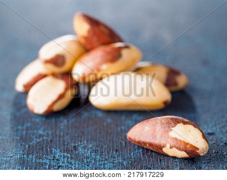 Macadamia nut or brasil nut on dark blue background with copy space