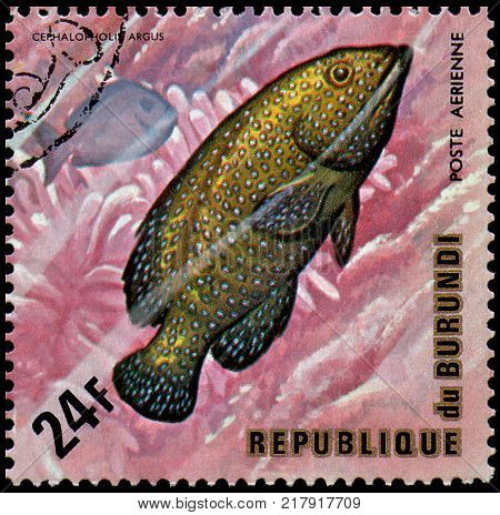 REPUBLIC OF BURUNDI - CIRCA 1974: a postage stamp, printed in Burundi, shows a fish Peacock Grouper (Cephalopholis argus) and surgeon fish