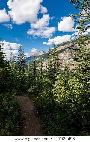 Rocky Mountains. Beautiful high mountains Glaciers in Beautiful Rocky Mountains in Canada