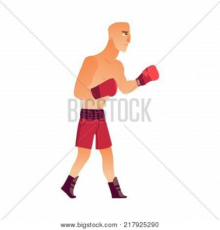 Young, bald Caucasian male boxer in boxing gloves, shirtless, ready to fight, flat vector illustration isolated on white background. Side view, flat style portrait of young Caucasian boxer fighting