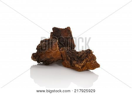 Healthy Chaga mushroom pieces isolated on white background. Inonotus obliquus.