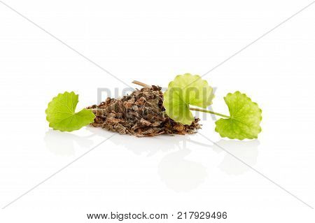 Dried and fresh gotu kola leaves isolated on white background. Asiatic pennywort.