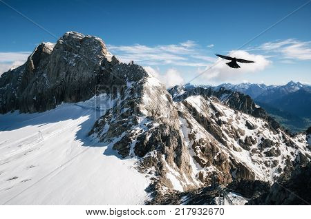 Bird flies over Koppenkarstein Mount and glacier of Dachstein Mountains Range Austria.