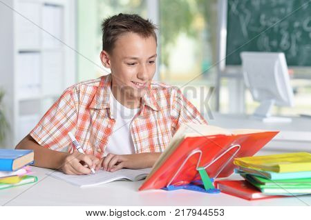 Portrait of asmiling schoolboy doing homework at home