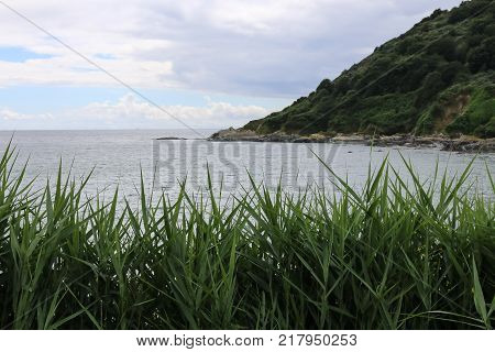 Looking out over the grass towards the sea.