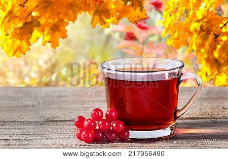 Cup of black tea, viburnum berries on a rustick wooden table. Black tea in a transparent cup with a blurry background.