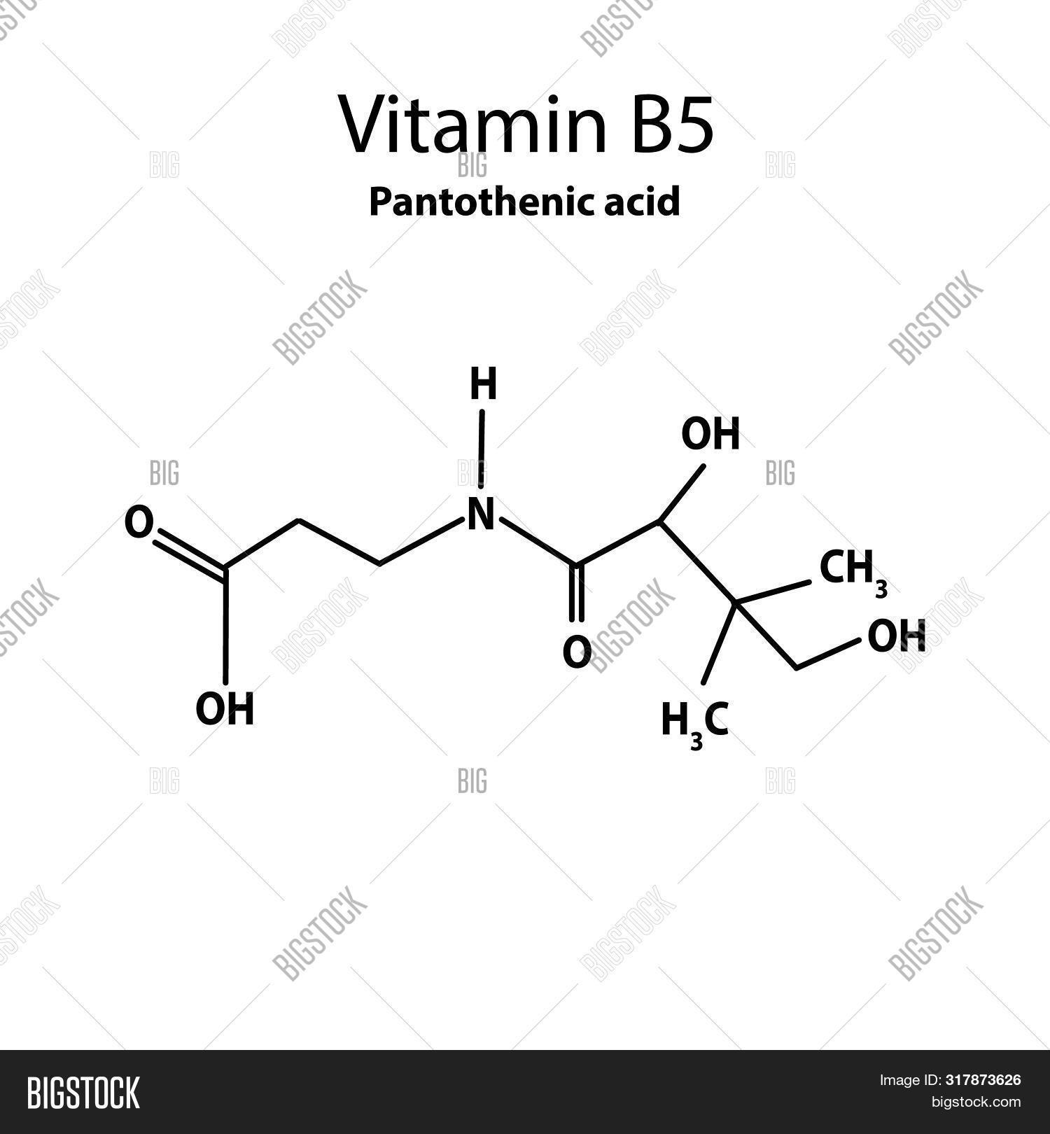 Vitamin B5. Image & Photo (Free Trial) Bigstock