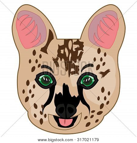 Cat Serval On White Background Is Insulated