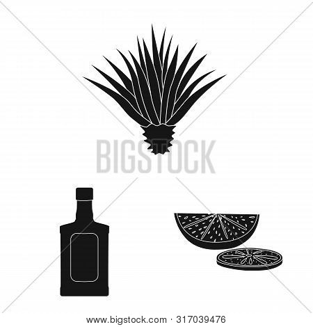 Isolated Object Of Carnival And National Symbol. Set Of Carnival And Tequila Vector Icon For Stock.