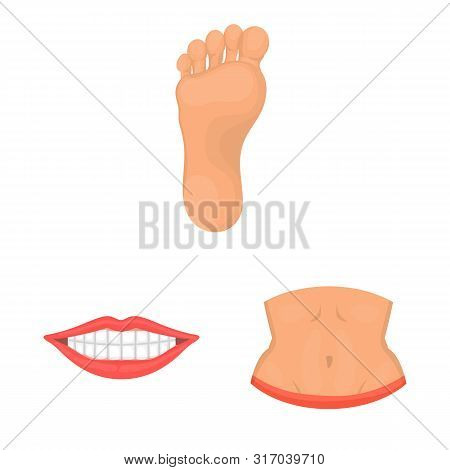 Vector Design Of Body And Part Symbol. Set Of Body And Anatomy Stock Vector Illustration.