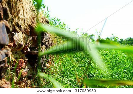 Ancient Stone Wall Near The River Near The Reeds